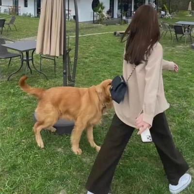 冒险兄弟第七季